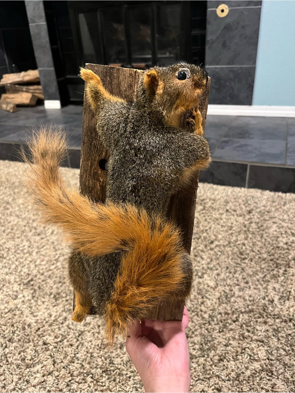 Rustic Gray and Orange Squirrel Wall Accent - Unbranded